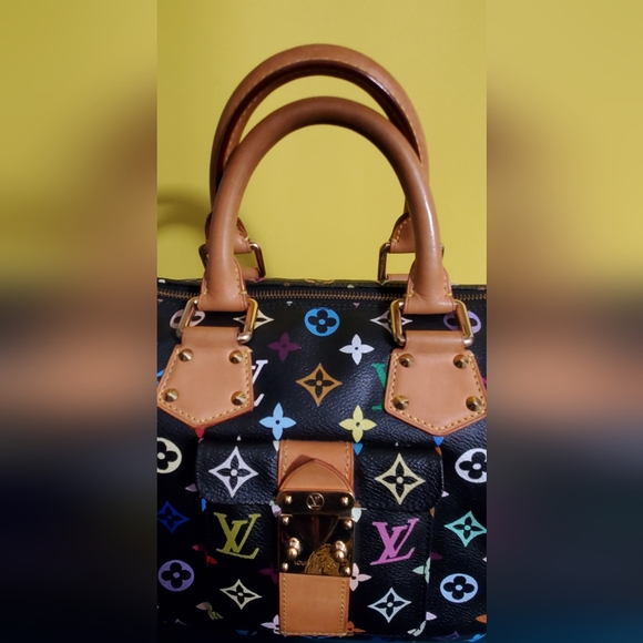Louis Vuitton Multicolor Speedy - Picture 5 of 16